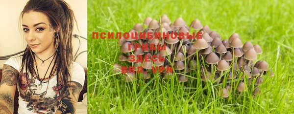 дурь Горно-Алтайск