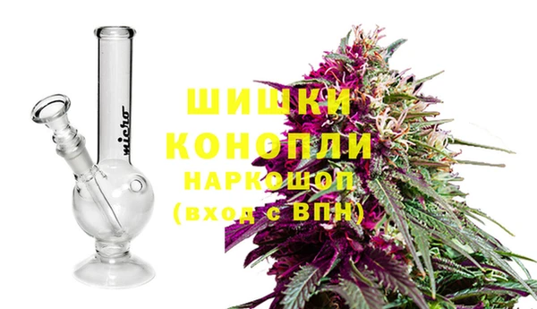 2c-b Горнозаводск